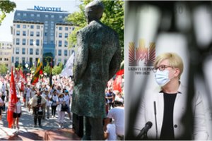 M. Maldeikio pavyzdys I. Šimonytės neįkvėpė: pasikalbėti su protestuotojais neis, į jų reikalavimus jau atsakė
