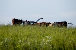 Po didinamuoju stiklu nori pakišti tik pieno gamintojus ir perdirbėjus
