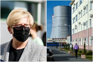 I. Šimonytė: Lietuva ir Latvija vienodai mato Astravo AE grėsmę
