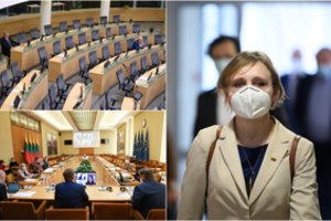 LVŽS paliko buvusi R. Karbauskio artima bendražygė: „Aš išėjau iš ten ir esu tokia laiminga“