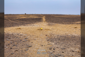 Žemėje pastebėtas dar vienas paslaptingas piešinys – kol kas didžiausias iš atrastų