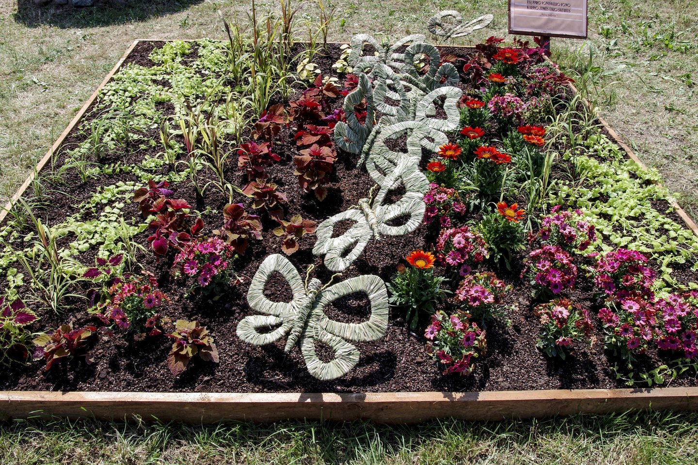 Pakruojo dvaras vis labiau žydi, vyko gėlių kompozicijų-kilimų konkursas „Žiedų valdovai 2021“.<br>V.Ščiavinsko nuotr.