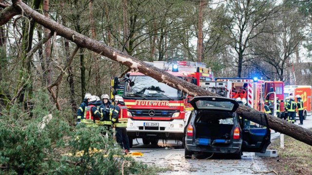 Nyderlanduose skaičiuojami praūžusios audros padariniai: išgriuvę medžiai, išdaužyti langai