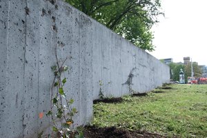 Kiek sodinukų šįmet jau prisodino Vilnius – prisideda ir verslas, ir gyventojai