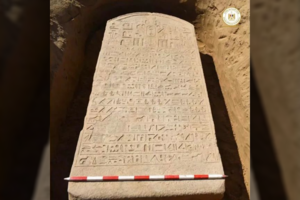 Ūkininko žemėje aptiktas karališkas radinys gali suteikti naujų istorinių žinių