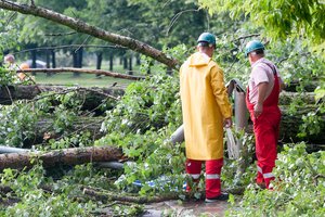 Pataria, kaip tinkamai pasiruošti prieš numatomas vėtras Joninių savaitgalį