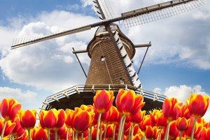 Trumpa vėjo malūnų istorija: nuo Babilono iki Lietuvos