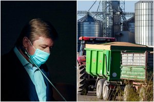 A. Vyšniauskas apie vienos įmonės auditą: valstybė nemokamai saugojo R. Karbauskio grūdus