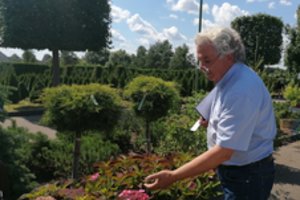 Lietuvos prezidentų ir kitų šalies įžymybių kiemus apželdinęs verslininkas augina nematytus augalus: teko vežti ir kontrabandą