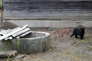 Anykščių r. iš šulinio ugniagesiai traukė beveik parą ten prabuvusį katiną