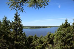 Prieš skubant į gamtą primena pagrindines taisykles: nesilaikančiųjų lauks baudos