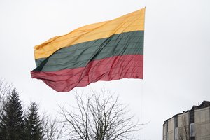 Patikrino gamintojus ir išrašė baudas: kas antra vėliava neatitinka reikalavimų