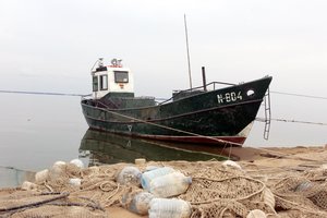 Mėgstamiausios lietuvių žuvys netrukus gali patekti į nykstančių rūšių raudonąjį sąrašą
