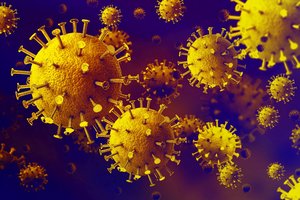 Mokslininkas atgavo Uhane slapta ištrintas koronaviruso genų sekas