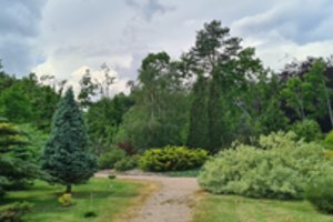 Dubravos arboretume lankytojus džiugina nauji išskirtiniai augalai: rūšių jau daugiau nei 2000