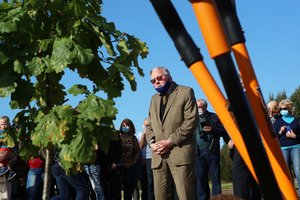 Seimo teisininkai: siūlymas dėl V. Landsbergio statuso gali prieštarauti Konstitucijai