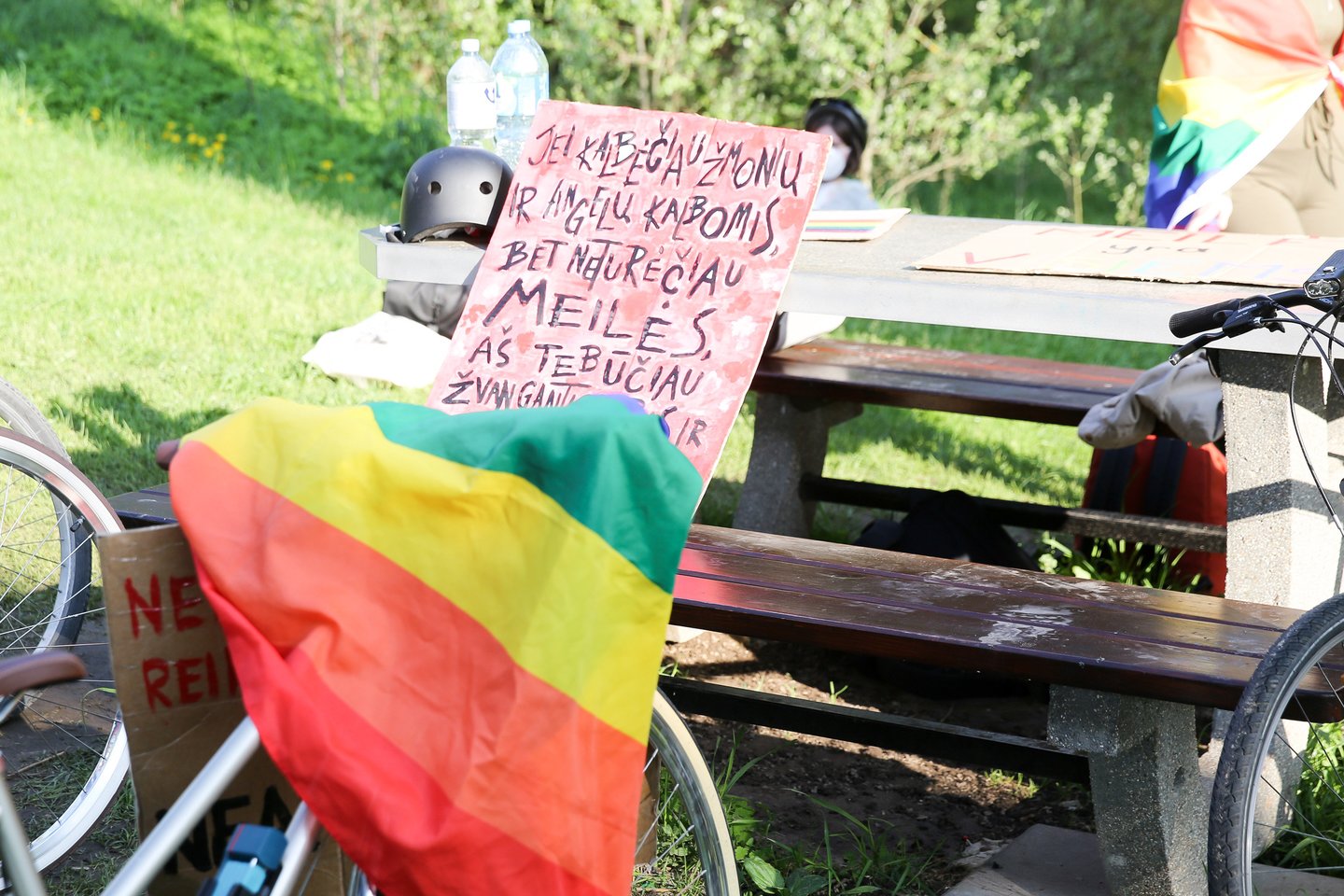 Prezidento Gitano Nausėdos sprendimas stoti į Vengrijos premjero pusę LGBT bendruomenės klausimu neturi ir vieningo politologų vertinimo.<br>T.Bauro nuotr.