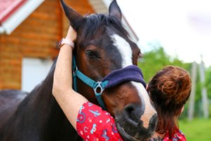 Teko rinktis tarp muzikos ir žirgų: šiandien specialistė – vienintelė Baltijos šalyse