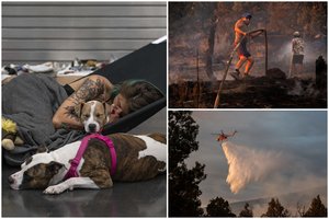 Rekordiniai karščiai JAV ir Kanadoje pražudė šimtus: įrengti vėsinimo centrai, kilo gaisrai