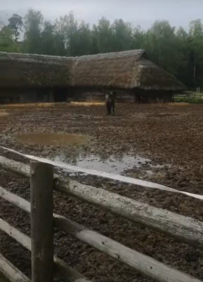  Netinkamomis sąlygomis laikomi arkliai muziejuje Rumšiškėse.<br> Stop kadrai