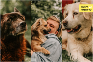 Trijų šunų sukrečiantys likimai kardinaliai pasikeitė sutikus Viliją: visi kartu – labai laimingi