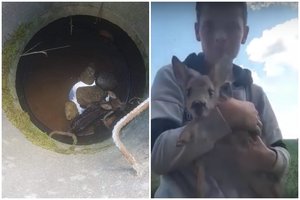 Į šulinį įkritusį stirniuką išgelbėjo 13–metis: duobė mirtinais spąstais galėjo tapti ir žmogui