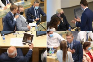 Po aršių diskusijų Seimas po pateikimo pritarė V. Landsbergio pripažinimui valstybės vadovu