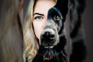 Lietuvos tarnybiniai šunys: nuo jų priklauso pareigūnų pasiekimai, o kartais net autoritetas