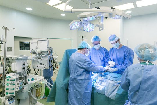 Donorės inkstai gyvenimą palengvins dviem žmonėms – laukti teko 4 metus