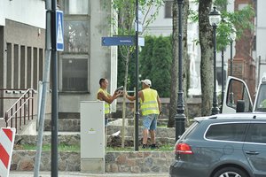 Pėsčiųjų take per kaitrą pasodinti medžiai kelia daug klausimų