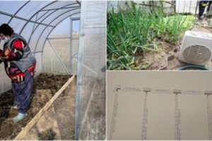 Vilnietė per kaitrą į daržą neskuba – vietoj jos darbus atlieka pačios pasigamintas įrenginys