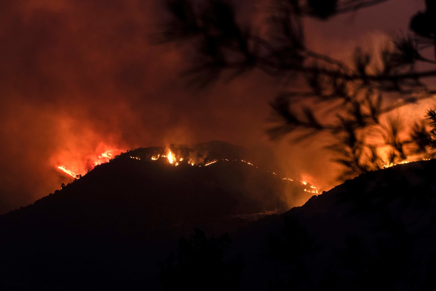 Kipro pietiniame Larnakos rajone antrą dieną siaučiant dideliam miško gaisrui buvo rasti keturi apdegę lavonai.<br>AFP/Scanpix nuotr.