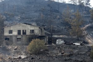 Milžiniški miškų gaisrai Kipre pagaliau suvaldyti: neapsieita be aukų