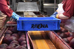 Atsikratė iš kitų besityčiojančio darbuotojo – gavo smarkų patarimus žarsčiusių biurokratų niuksą