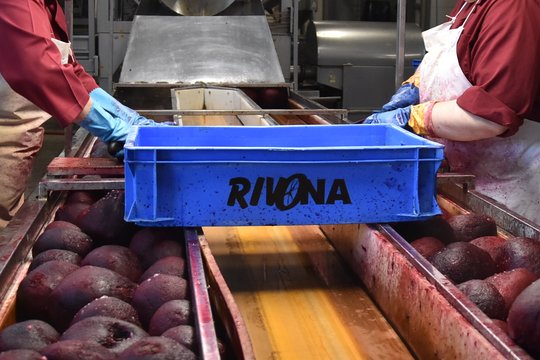 Atsikratė iš kitų besityčiojančio darbuotojo – gavo smarkų patarimus žarsčiusių biurokratų niuksą        