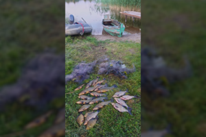 Aplinkosaugininkai sučiupo dar vieną tinklus stačiusį pažeidėją: gresia sumokėti 2 tūkst. eurų 