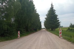 Susiruošė iškirsti net 170 medžių – paaiškino, kam jie trukdo