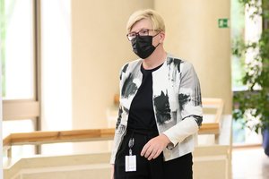 I. Šimonytė: netrukus bus pradėtas fizinio barjero su Baltarusija diegimas, pasitelksime kariuomenę