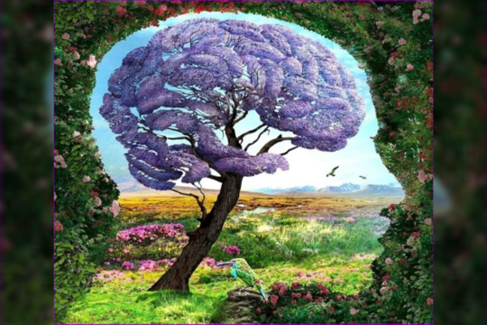 Kas piešinyje svarbiausia? Sužinosite, be ko negalite gyventi