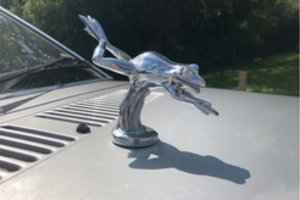 Už princesės Dianos automobilį sumokėjo įspūdingą sumą – įsigijo muziejus