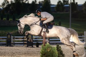 Atvirajame Lietuvos konkūrų čempionate – net 260 žirgų ir raitelių duetų