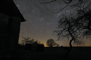 Tropinės naktys sugrįžo: fiksuotos didžiojoje Lietuvos dalyje