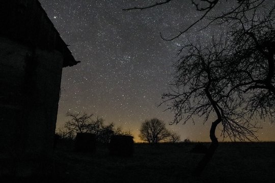 Tropinės naktys sugrįžo: fiksuotos didžiojoje Lietuvos dalyje