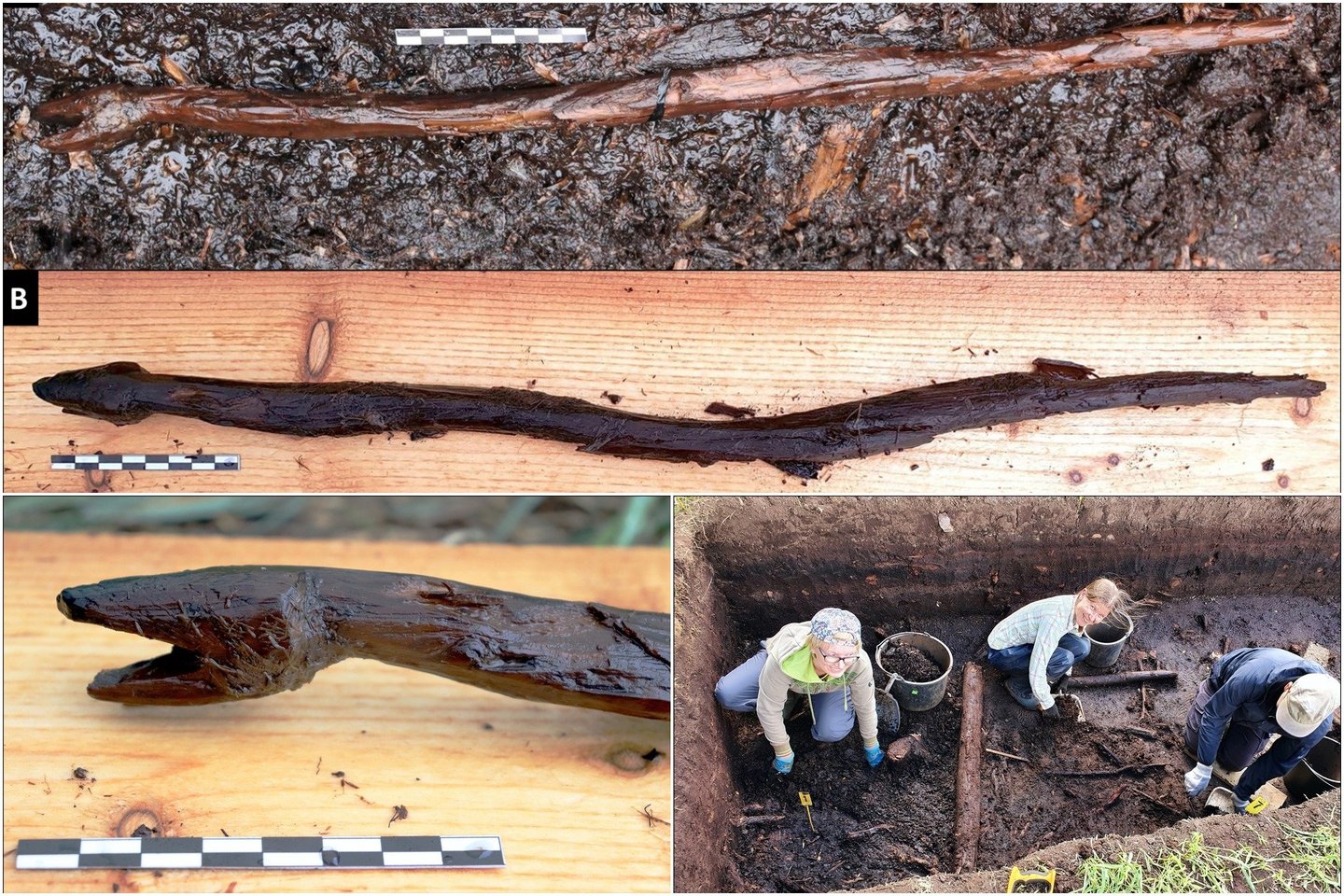  Viename Suomijos pietvakariuose esančiame ežere atrasta 4 400 metų senumo, neolito laikų gyvatės formos medinė lazda.<br>  S. Koivisto nuotr. lrytas.lt mont.