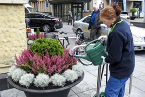 Absurdiški sprendimai smogė kitu galu – išmokas dykai pasiimantys bedarbiai sprunka ir nuo paprasčiausių darbų