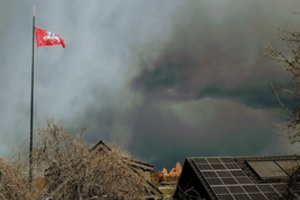 Vasarą jūsų namui gali grėsti rimtas pavojus – žala siekia ne vieną šimtą eurų