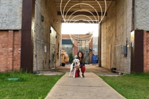 Reikalauja paskirti už gyvūnų gerovę atsakingą komisarą ir kviečia pasirašyti peticiją