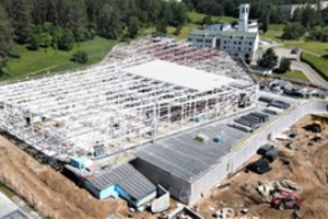 Lazdynų baseino teritorijoje užvirė diskusijos dėl ant požeminių trasų augančio medžio