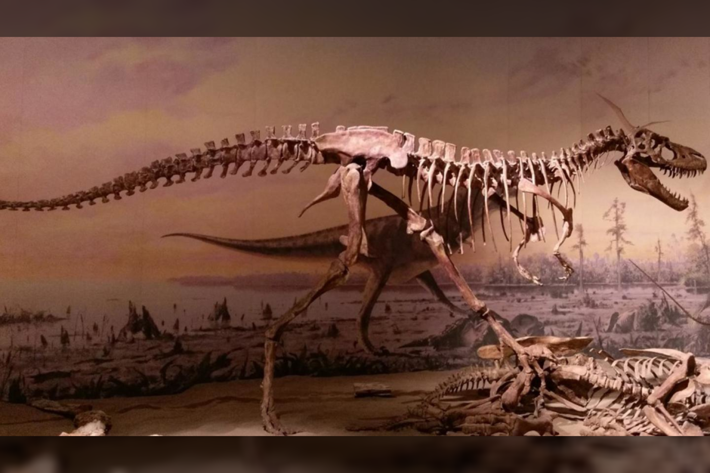  Dinozaurai greičiausiai buvo šiltakraujai. Jų unikali atatomija - stiprūs kaklai, stačia sovėsena - suteikė šiems gyvūnams pranašumą prieš kitas rūšis.<br> UNM Biology nuotr.