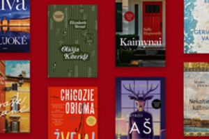 12 BALTO knygų vasarai: įtraukiančios istorijos įvairiausio skonio skaitytojams 